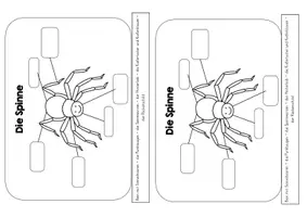 Vorschau - Arbeitsblätter - Spinne Lernplakat - Arbeitsblatt - Seite 1