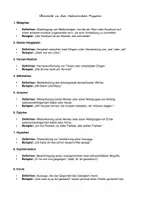 Vorschau - Merkblätter - Übersicht rhetorische Figuren - Seite 3