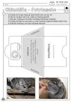 Vorschau - Mal- und Bastelvorlagen - Infocube: Haustiere | Chinchilla - Seite 2