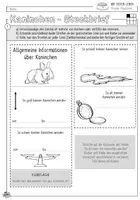 Vorschau - Arbeitsblätter - Infocube: Haustiere | Kaninchen - Seite 1