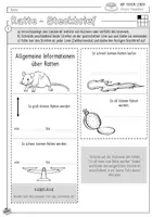 Vorschau - Mal- und Bastelvorlagen - Infocube: Haustiere | Ratte - Seite 1