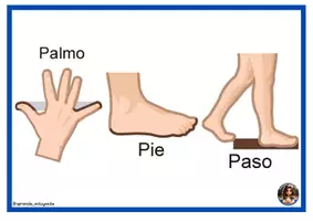 Vista previa - Hojas de trabajo - CUADERNO TEACCH: PALMO, PIE Y PASO - página 3