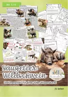 Vorschau - Stundenentwürfe - Wildschwein Stationenarbeit: Säugetier Wildschwein Paarhufer - Deckblatt