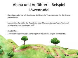Vorschau - Stundenentwürfe - Präsentation Gruppentiere mit Handout und Stichpunkten - Seite 3