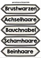Vorschau - Arbeitsblätter - Sexualerziehung Körperteile/äußere Geschlechtsmerkmale - Seite 2