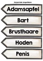 Vorschau - Arbeitsblätter - Sexualerziehung Körperteile/äußere Geschlechtsmerkmale - Seite 3