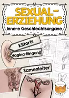 Vorschau - Arbeitsblätter - Sexualerziehung Innere Geschlechtsorgane - Deckblatt
