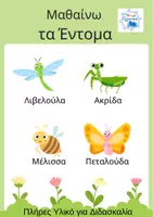 Προεπισκόπηση - Φύλλα εργασίας - Θεματικός Κύκλος "Μαθαίνω τα Έντομα" - Εξώφυλλο
