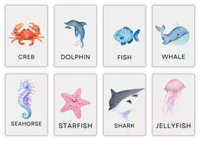 anteprima - Flashcard - FLASHCARDS ANIMALI IN INGLESE - Pagina di copertina