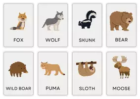 anteprima - Flashcard - FLASHCARDS ANIMALI IN INGLESE - Pagina 2