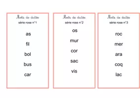 Aperçu - Apprentissages en autonomie - Mots de dictée (séries rose et bleue) - Page de couverture