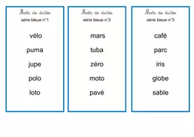 Aperçu - Apprentissages en autonomie - Mots de dictée (séries rose et bleue) - Page 2