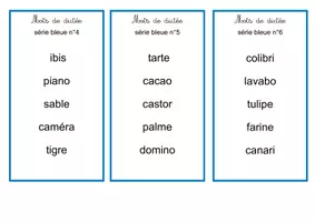 Aperçu - Apprentissages en autonomie - Mots de dictée (séries rose et bleue) - Page 3