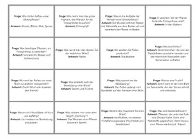 Vorschau - Spiele - Blütenpflanzen_Brettspiel_Klasse5/6 - Seite 2