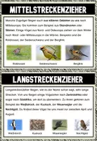 Vorschau - Arbeitsblätter - Vögel im Winter - Karteikarten - Seite 3