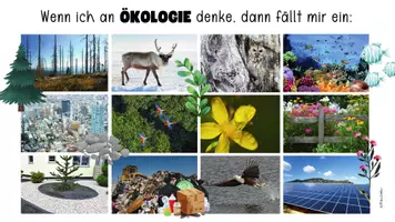 Vorschau - Unterrichtsreihen - Präsentation Abiotische Faktoren Unterrichtsreihe Ökologie - Seite 2