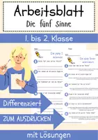 Vorschau - Arbeitsblätter - Die fünf Sinne Arbeitsblatt 1. & 2.Klasse Sinnesorgane Arbeitsblatt mit Lösungen - Deckblatt