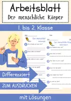 Vorschau - Arbeitsblätter - Der menschliche Körper Arbeitsblatt 1. & 2.Klasse Körpersysteme Arbeitsblatt mit Lösungen - Deckblatt