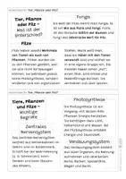 Vorschau - Arbeitsblätter - Tier, Pflanze oder Pilz - Wo ist der Unterschied? Wissenskartei, Flashcards, Arbeitsblätter - Seite 2