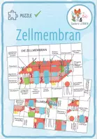 Vorschau - Spiele - Zellmembran – Puzzle - Deckblatt