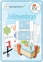 Vorschau - Arbeitsblätter - Zellmembran – 4x Aktivitäten und Spiele - Seite 1