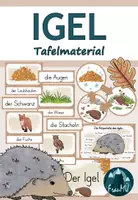 Vorschau - Arbeitsblätter - Igel – Materialpaket mit differenzierter Lerntheke, Tafelmaterial & Spielen (1./2. Klasse) - Seite 1