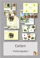 Vorschau - Stationenlernen - Der Elefant | Säugetiere | Materialpaket - Deckblatt