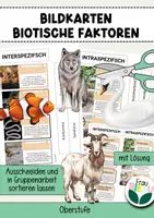 Vorschau - Arbeitsblätter - Biotische Faktoren Bildkarten-Set Zuordnungsübung - Deckblatt