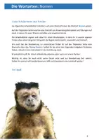 Vorschau - Unterrichtsreihen - Die Wortarten: Nomen/Substantive - Seite 1