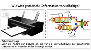 Vorschau - Stundenentwürfe - DNA-Replikation / Polymerase Kettenreaktion (PCR) Vergleich - Unterrichtsstunde mit Arbeitsmaterial - Seite 1