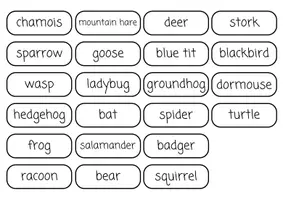 Vorschau - Spiele - BINGO - Animals in Winter - Seite 1