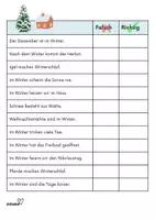 Vorschau - Arbeitsblätter - Wintersätze: richtig oder falsch entscheiden. - Seite 3
