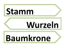 Vorschau - Arbeitsblätter - Der Apfelbaum - Tafelbilder und Arbeitsmaterial - Seite 3
