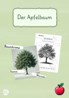 Vorschau - Arbeitsblätter - Der Apfelbaum - Tafelbilder und Arbeitsmaterial - Deckblatt