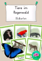 Vorschau - Bildkarten - Regenwälder der Erde - Tiere Bildkarten - Deckblatt