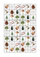 Vorschau - Spiele - Entdecker-Spiel: Wald-Bingo - Seite 2