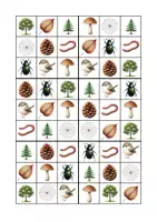 Vorschau - Spiele - Entdecker-Spiel: Wald-Bingo - Seite 3