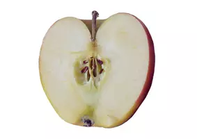 Vorschau - Arbeitsblätter - Der Apfel - Tafelbilder und Arbeitsmaterial - Seite 2