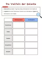 Vorschau - Stundenentwürfe - Materialpaket "Der Mensch", 6 sorgenfreie Stunden | Biologie, 6./7. Klasse - Seite 1