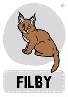 Vorschau - Bildkarten - FILBY Leseschritte - Bild- und Wortkarten - Seite 1