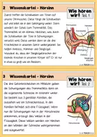 Vorschau - Arbeitsblätter - Wissenskartei - Der Hörsinn / Unsere Ohren - Seite 2