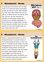 Vorschau - Arbeitsblätter - Wissenskartei - Der Hörsinn / Unsere Ohren - Seite 3