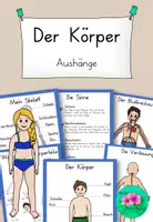 Vorschau - Merkblätter - Körper - diverse Aushänge - Deckblatt