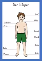 Vorschau - Merkblätter - Körper - diverse Aushänge - Seite 2
