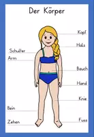 Vorschau - Merkblätter - Körper - diverse Aushänge - Seite 3