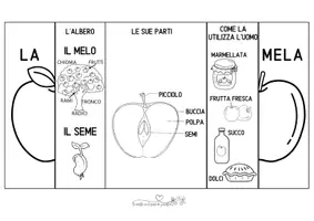anteprima - Esperimenti - MELA attività - Pagina 1