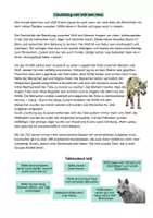 Vorschau - Arbeitsblätter - Einheit Schulhund-AG / Hunde - Seite 1