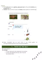 Vorschau - Unterrichtsreihen - Arbeitsmaterial zum Thema Vielfalt - Seite 3
