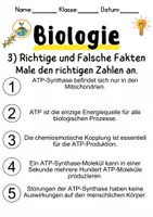 Vorschau - Unterrichtsreihen - ATP-Synthase und Energietransfer Informationen und Arbeitsblätter - Seite 3
