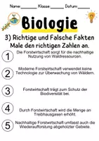 Vorschau - Unterrichtsreihen - Forstwirtschaft Informationen und Arbeitsblätter - Seite 3